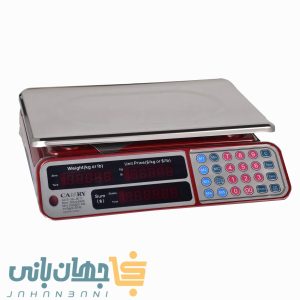 ترازوی دیجیتال کمری مدل ACS-30-JE11 با ظرفیت ۳۰ کیلوگرم